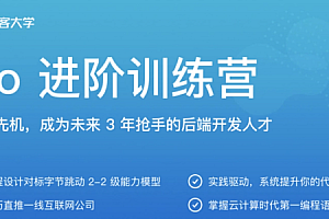 极客时间-Go进阶训练营第四期|价值6999元|对标字节2-2|完结无秘