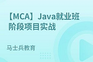 Java就业班阶段项目实战【马士兵教育】| 完结无密