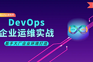 阿良 运维全栈监控首选方案-DevOps企业运维|完结无秘