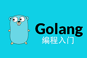 Go语言全栈开发基础+Golang图像存储业务+框架实操+Go的微服务 难得的Go语言实战好课|完结无秘