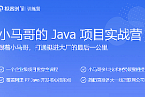 极客大学-小马哥的Java项目实战营|完结无秘