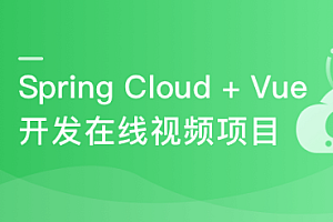 Spring Cloud+Vue前后端分离开发企业级在线视频系统