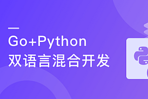 Go+Python打造电商系统 自研微服务框架