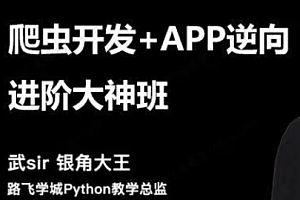 Python-路飞-爬虫开发+APP逆向超级大神班1期-8期完结【2023年】