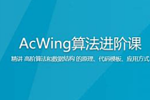 算法-acwing 算法提高班 |完结无秘