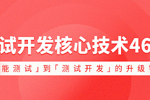 测试开发核心技术 46 讲