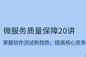 微服务质量保障 20 讲
