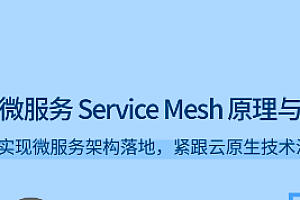 微服务Service Mesh原理与实战-拉钩专栏