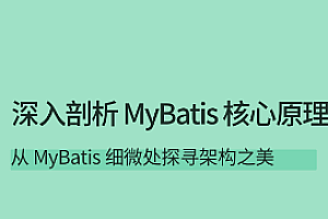 深入剖析 MyBatis 核心原理-拉勾