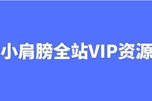 逆向-小肩膀 全站VIP课程合集(资料齐全) 750G 网盘无密