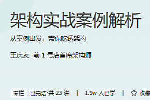 极客 架构实战案例解析