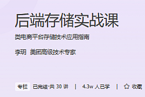 后端存储实战课 极客