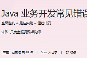 Java 业务开发常见错误 100 例 极客