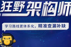 黑马-狂野架构师5期