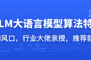 体系课-LLM大语言模型算法特训 带你转型AI大语言模型算法工程师(完结)