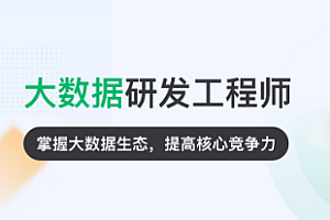 大数据-奈学-大数据研发工程师十三期