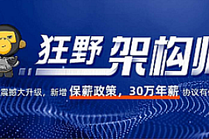 Java架构-黑马-狂野架构师6期