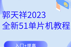 嵌入式-郭天祥全新51单片机教程-入门提高2023