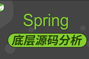 阿里P7美团T8王校长Spring源码