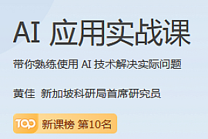 极客-AI应用实战课