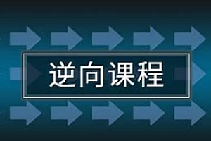 编程达人-逆向培训基础班视频课程