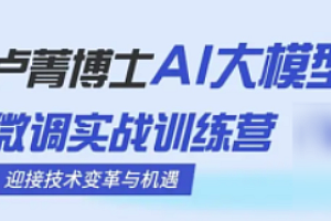 AI大模型微调实战训练营