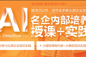 AI-深蓝-人工智能名企内部培训+实践班第五期2023