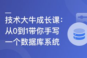 技术大牛成长课,从0到1带你手写一个数据库系统