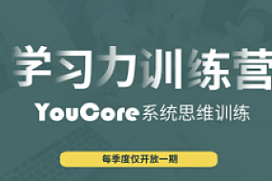 学习力训练营-系统思维训练(已完结)