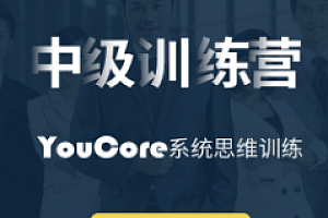 中级训练营-系统思维训练(已完结)