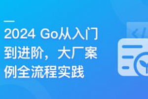 Go从入门到进阶,大厂案例全流程实践