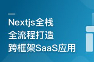 前端全栈进阶 Nextjs打造跨框架SaaS应用