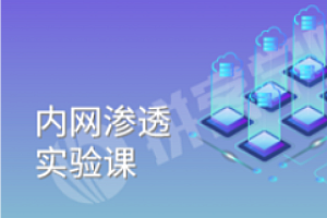 内网参透视频教程