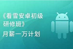 看雪-安卓高级研修班(月薪一万计划)2024