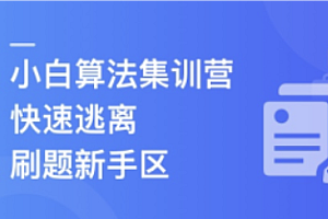 小白算法集训营-大幅提升刷题量,快速逃离新手区