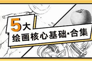 高高手-绘画基础课程合集