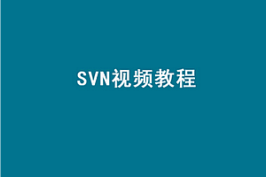 尚硅谷-SVN高级视频