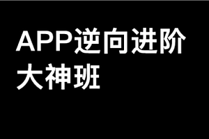 逆向-路飞-爬虫&超级逆向班第9期2024完结