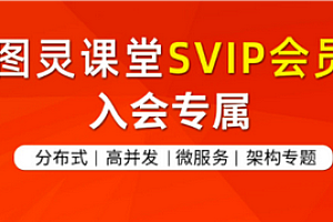 图灵-Java高薪拓展VIP系列课程