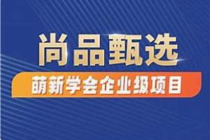项目实战-尚硅谷-前端Vue后端Spring Boot电子商城网站2024