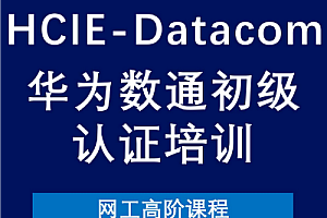 软考-数通-华为HCIE-Dadacom进阶班2024