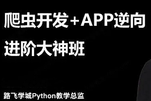 路飞-爬虫开发+APP逆向超级大神班11期