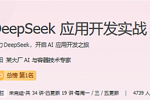 极客-DeepSeek应用开发实战