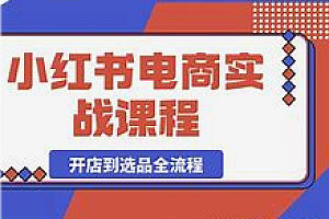 AI-小红书电商5.0全链路实战