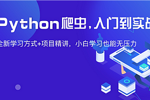 猿来-Python爬虫高级开发从入门到精通13期2025最新