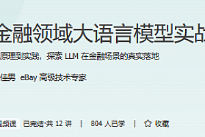 极客-金融领域大语言模型实战